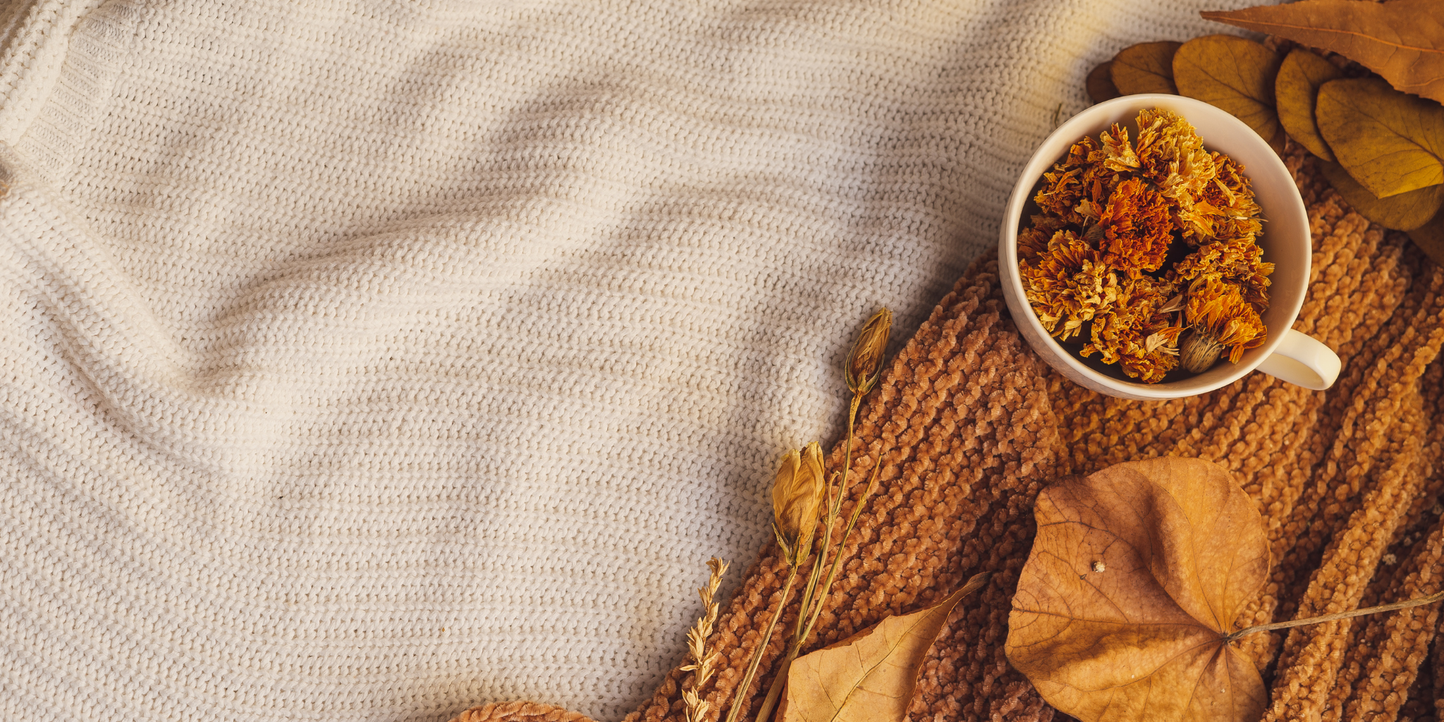 Your Cozy Fall Starts Here