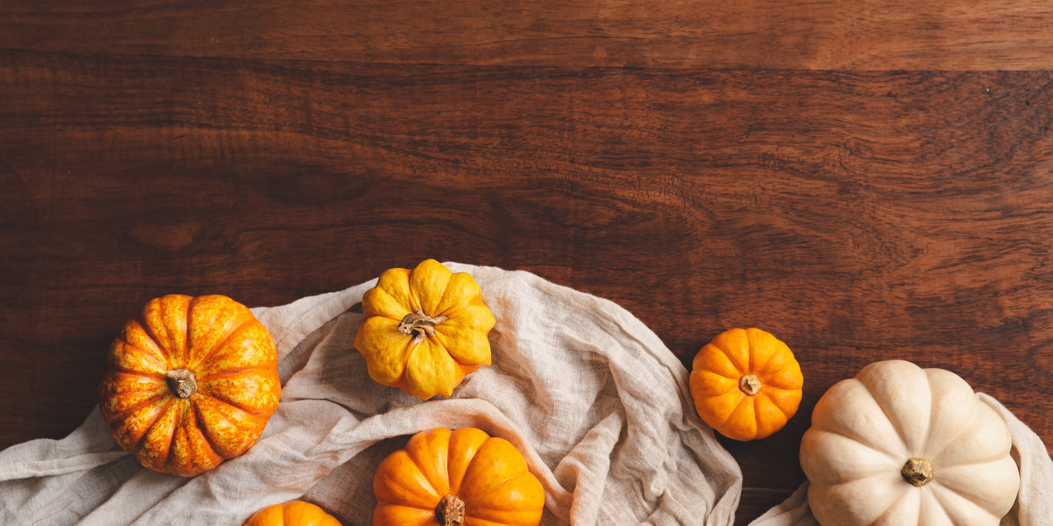 Copy_of_Fruitful_Beginnings_Social_Templates_Website_2_e625562c-d60e-49b1-9664-7fc0e92ab3dc.png